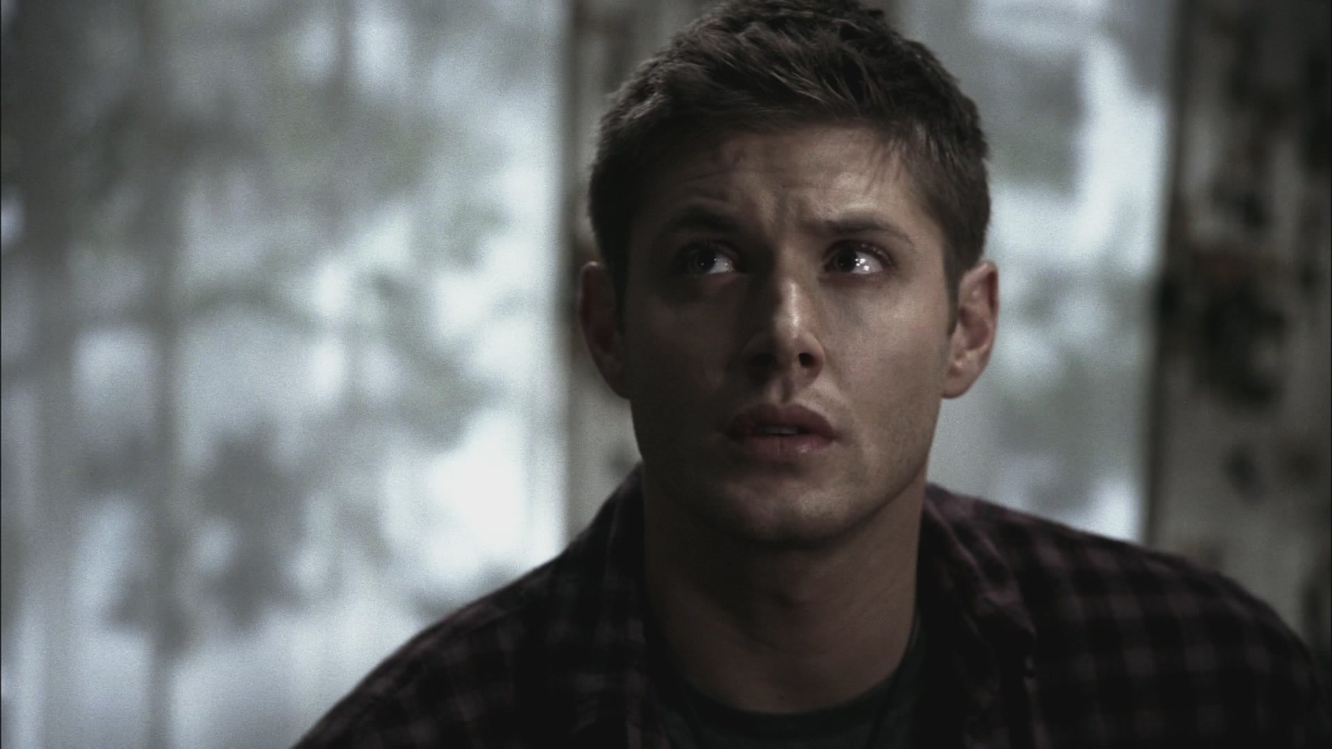 SPN_0198.jpg