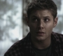 SPN_0202.jpg