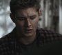 Filename=SPN_0209.jpg
Filesize=151KiB
Dimensions=1920x1080
Date added=Sep 28, 2021 SPN_0209.jpg