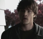 SPN_0247.jpg