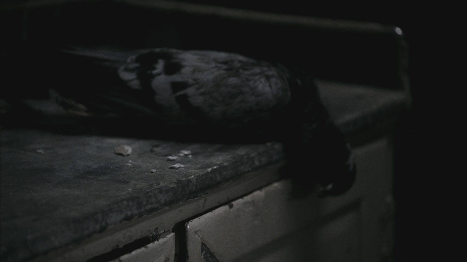 SPN_0444.jpg