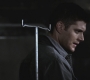 SPN_0301.jpg