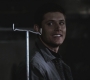 SPN_0304.jpg
