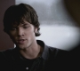 SPN_0379.jpg