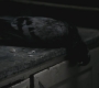 SPN_0444.jpg