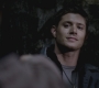 SPN_0973.jpg