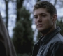 SPN_1138.jpg