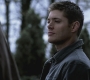 SPN_1141.jpg