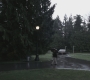 SPN_0304.jpg