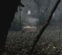 SPN_0485.jpg