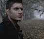 SPN_0490.jpg