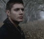 SPN_0491.jpg