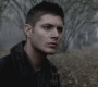 SPN_0493.jpg