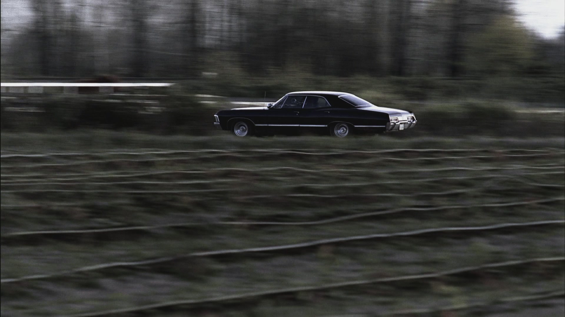 SPN_0081.jpg