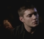 SPN_0228.jpg