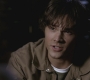 SPN_0234.jpg