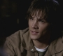 SPN_0245.jpg