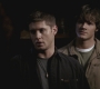 SPN_0263.jpg