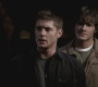 SPN_0266.jpg