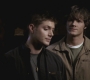 SPN_0272.jpg