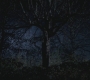 SPN_0274.jpg