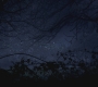 SPN_0284.jpg