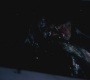 SPN_0285.jpg