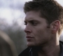 SPN_0306.jpg