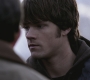 SPN_0310.jpg
