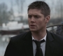 SPN_0373.jpg