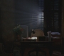 SPN_0769.jpg