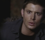 SPN_0812.jpg