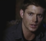 SPN_0825.jpg
