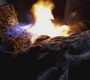 SPN_1010.jpg