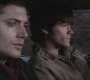SPN_1212.jpg