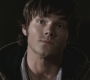 SPN_1175.jpg