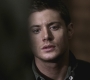 SPN_0335.jpg