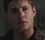 SPN_0833.jpg