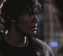 SPN_1286.jpg