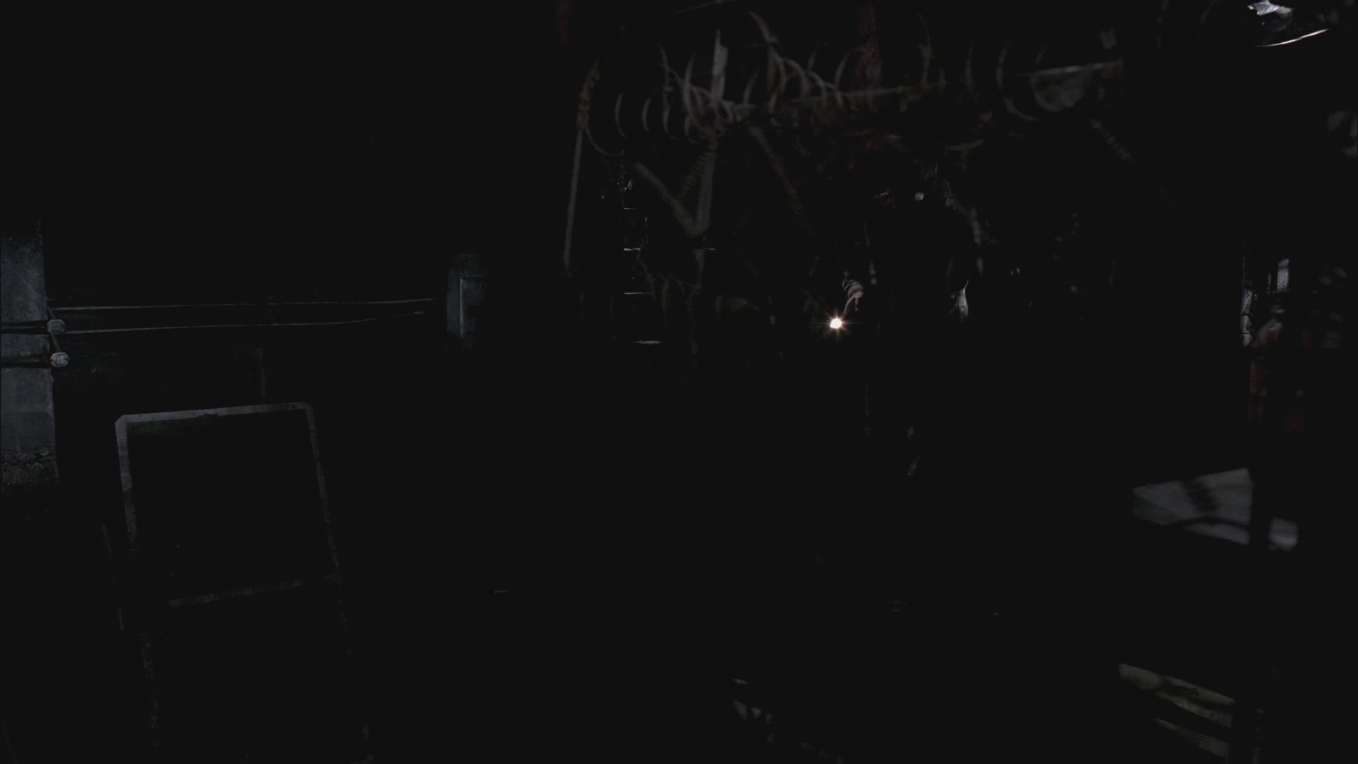 SPN_0057.jpg