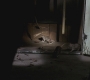 SPN_0695.jpg