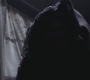 SPN_1176.jpg
