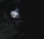 SPN_0298.jpg