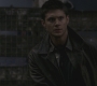 SPN_0727.jpg