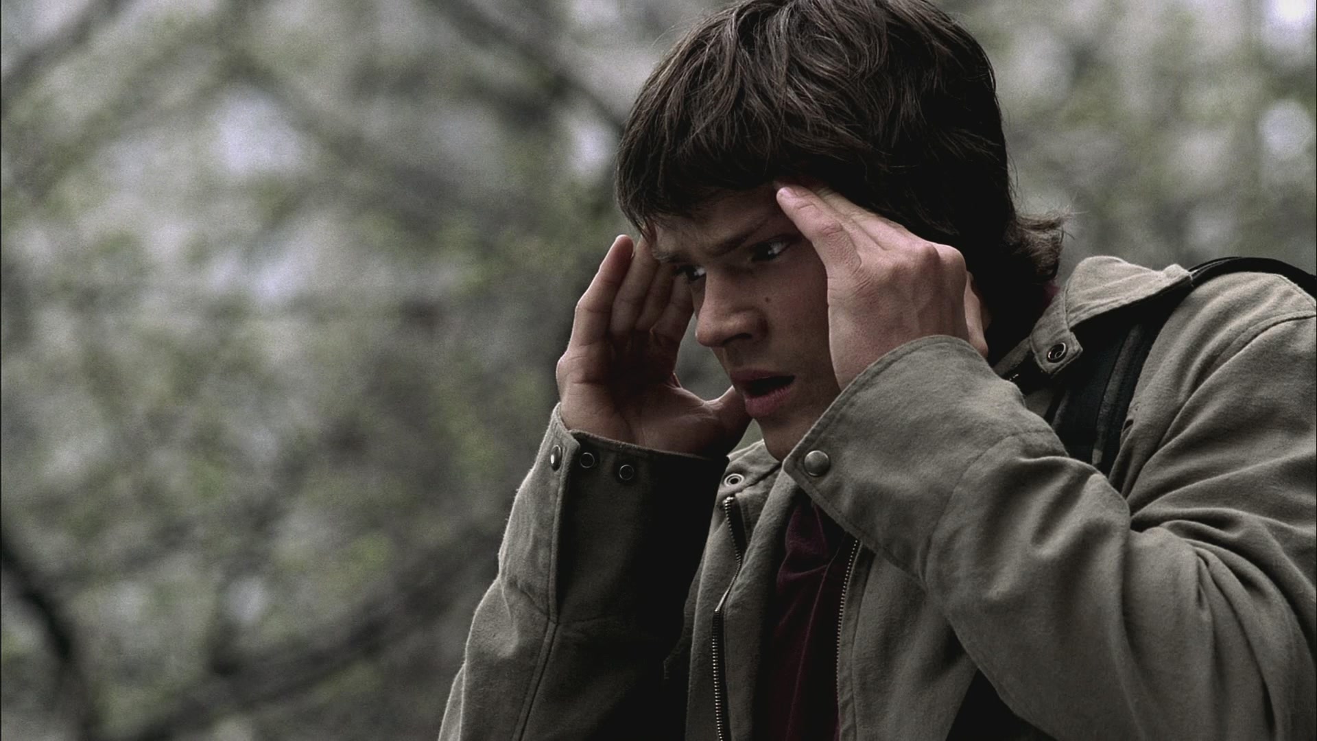 SPN_0337.jpg