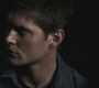 SPN_0969.jpg