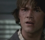 SPN_0314.jpg