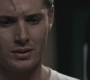 SPN_0429.jpg