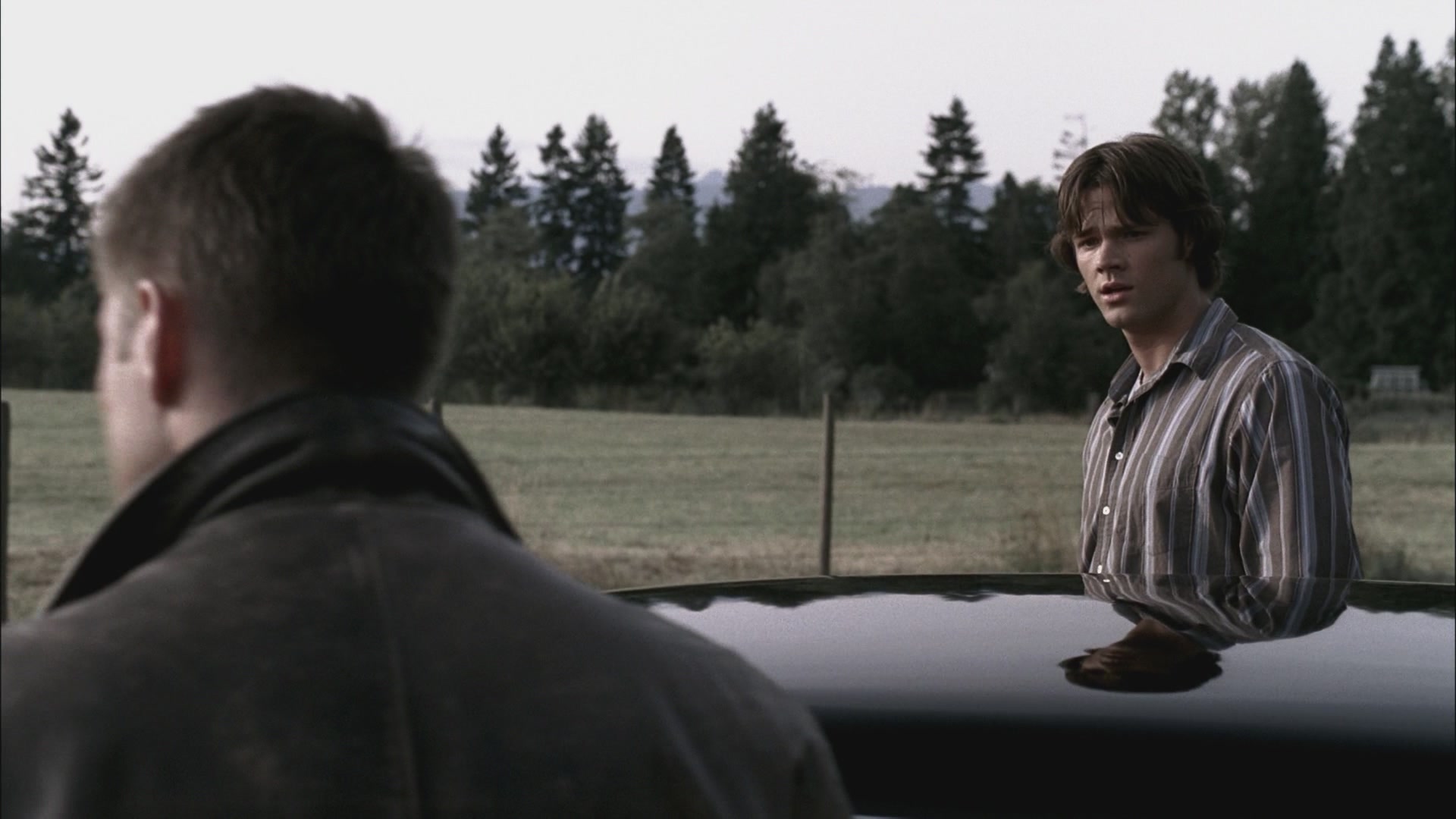 SPN_1100.jpg