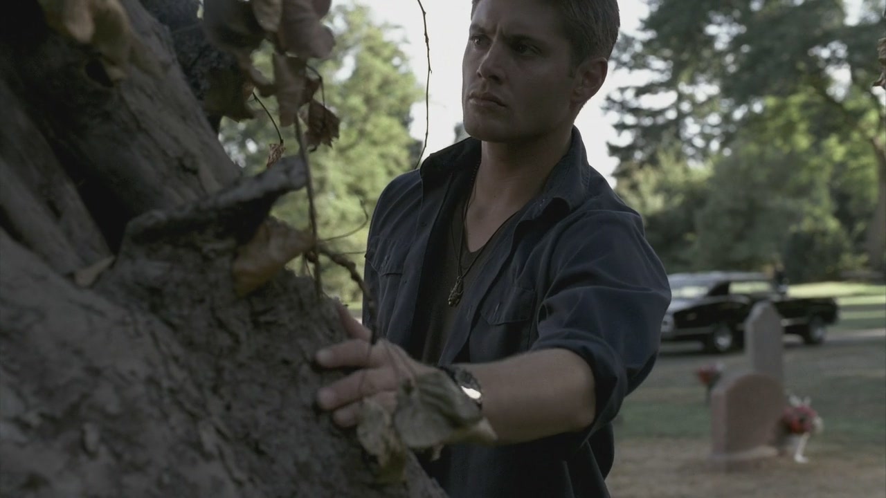 SPN_0121.jpg